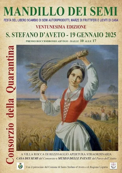 mandillo 2025